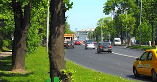 Посадка деревьев и кустарников в Грозном — стоимость от 1231 руб.
